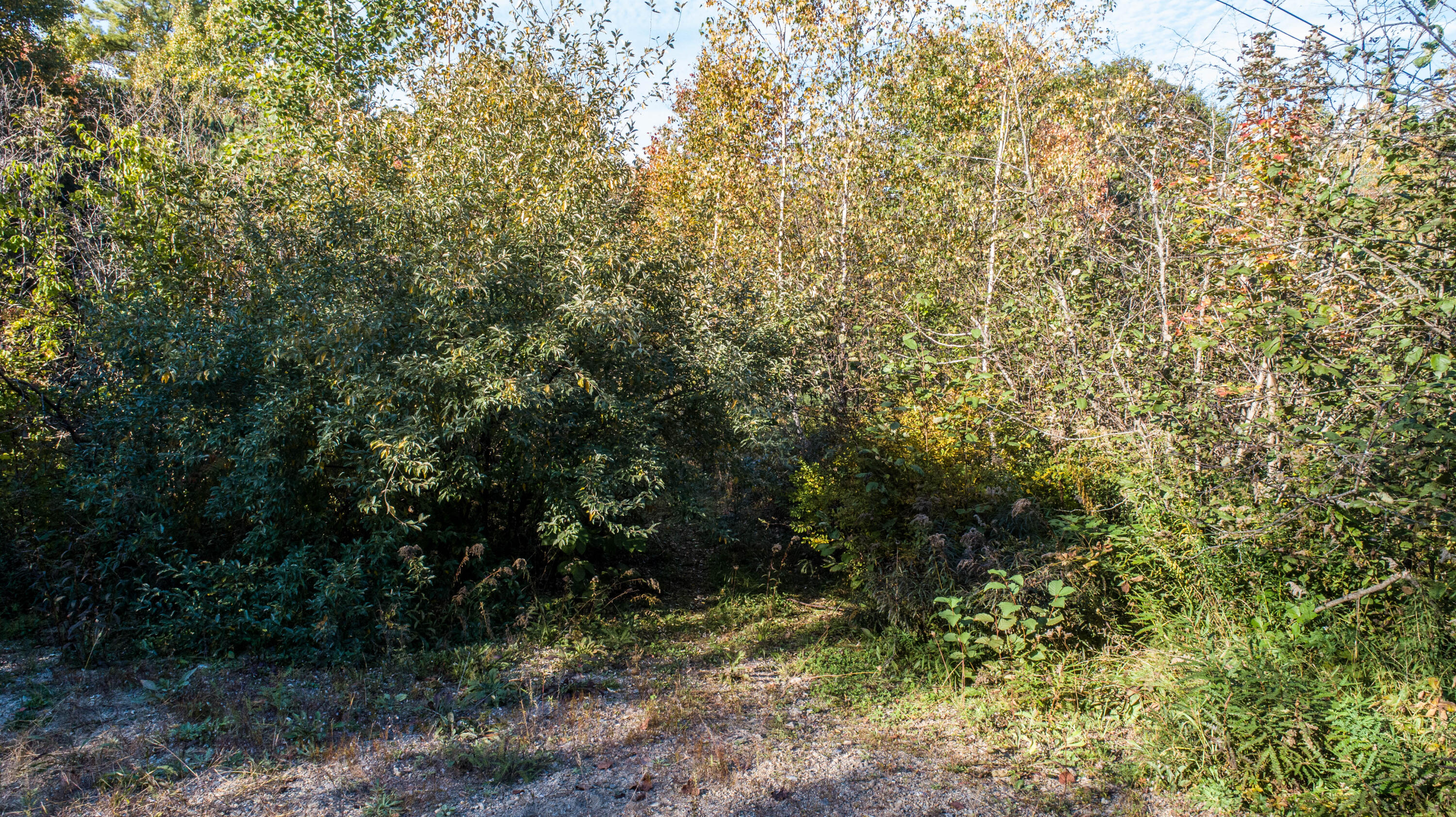 0 Guinea Road Biddeford, ME 04005 - Photo 6 of 7 DJI_0077