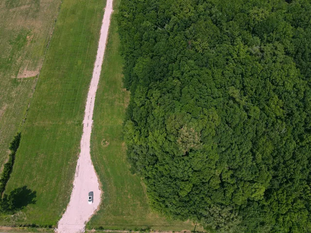 a view of a yard with plants