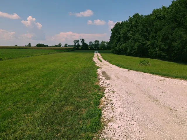 an aerial view of a house with a garden and trees