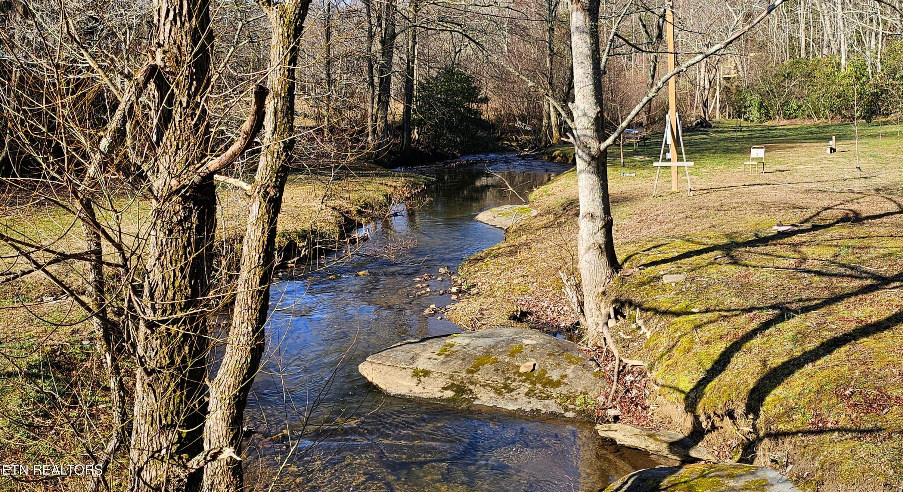 248 Lower Smithfield Road Tellico Plains, TN 37385 - Photo 14 of 47 1000039993