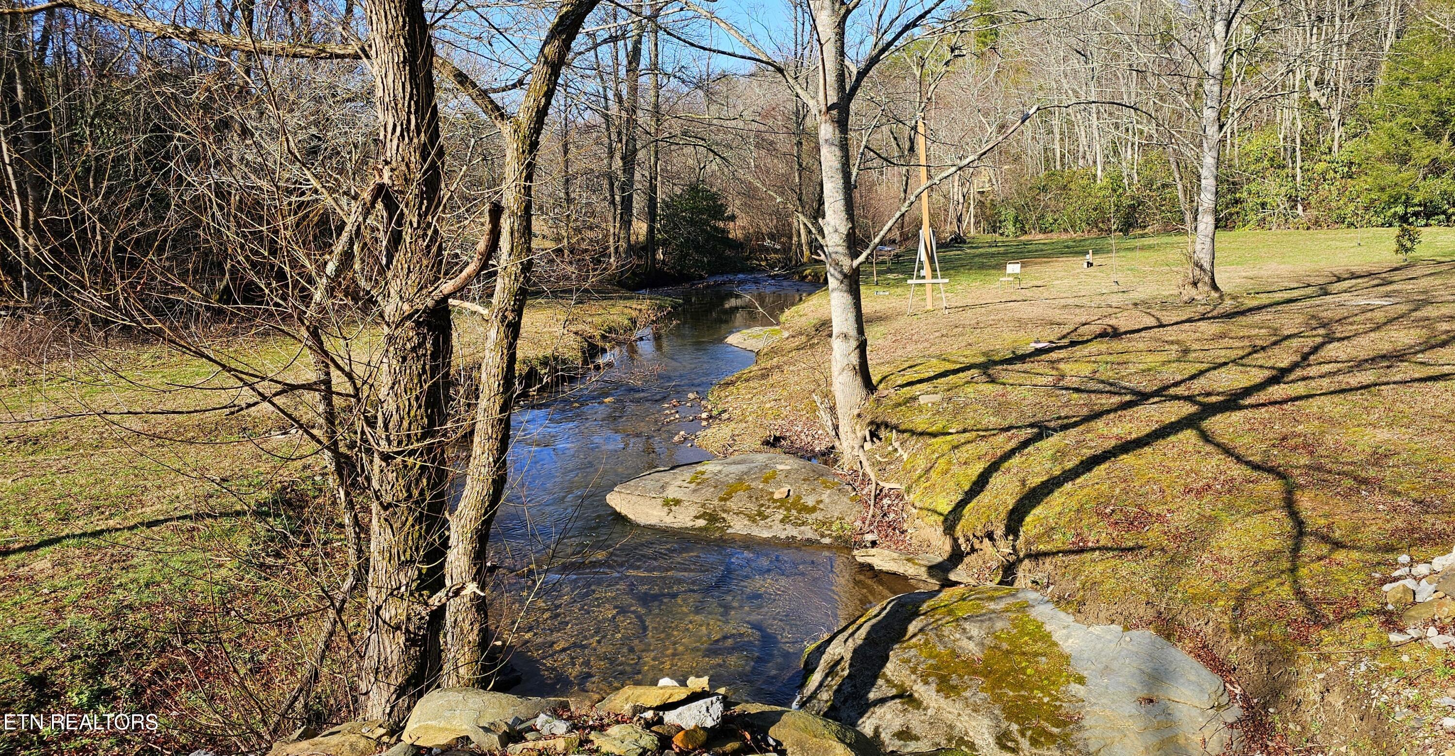 248 Lower Smithfield Road Tellico Plains, TN 37385 - Photo 15 of 47 1000039992