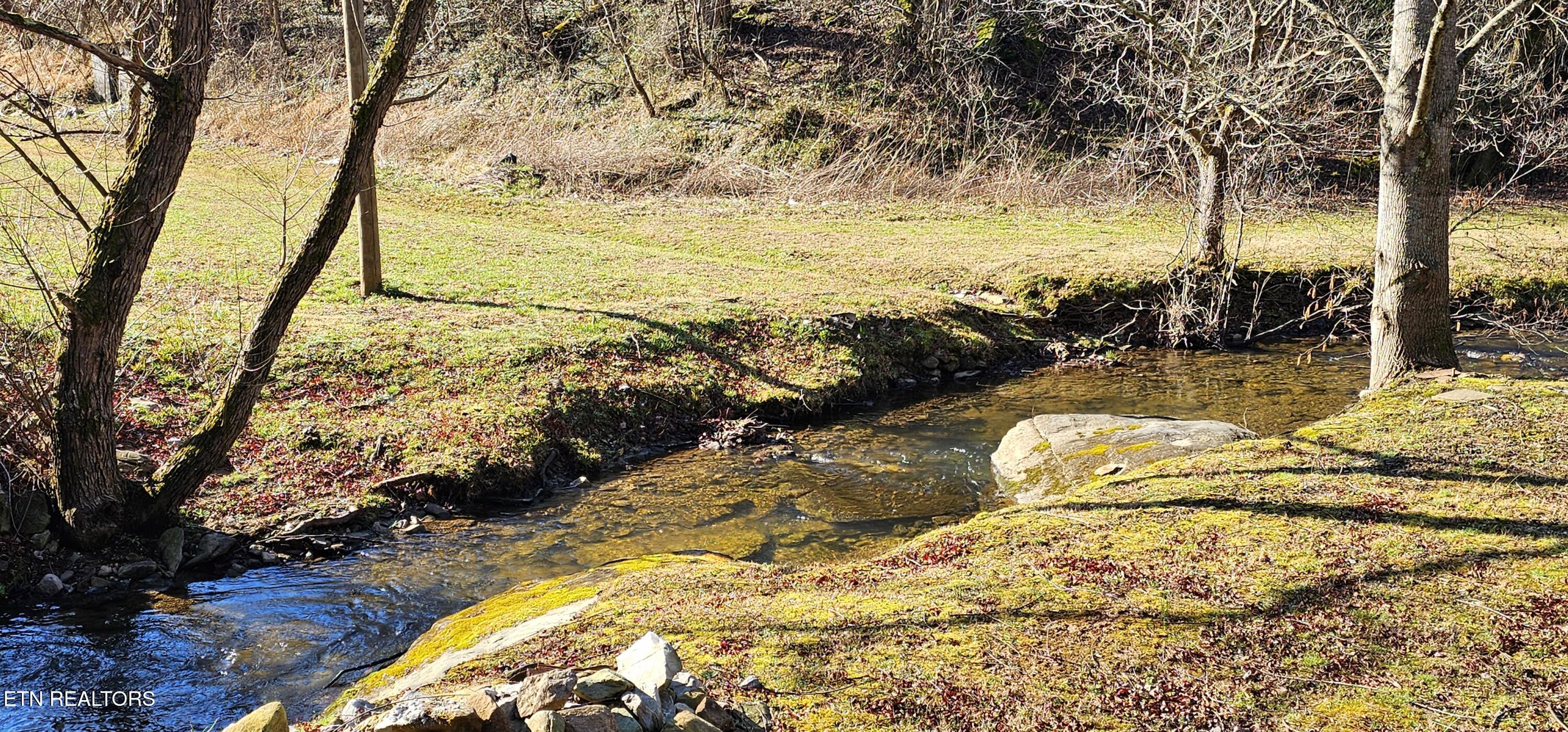 248 Lower Smithfield Road Tellico Plains, TN 37385 - Photo 16 of 47 1000039994