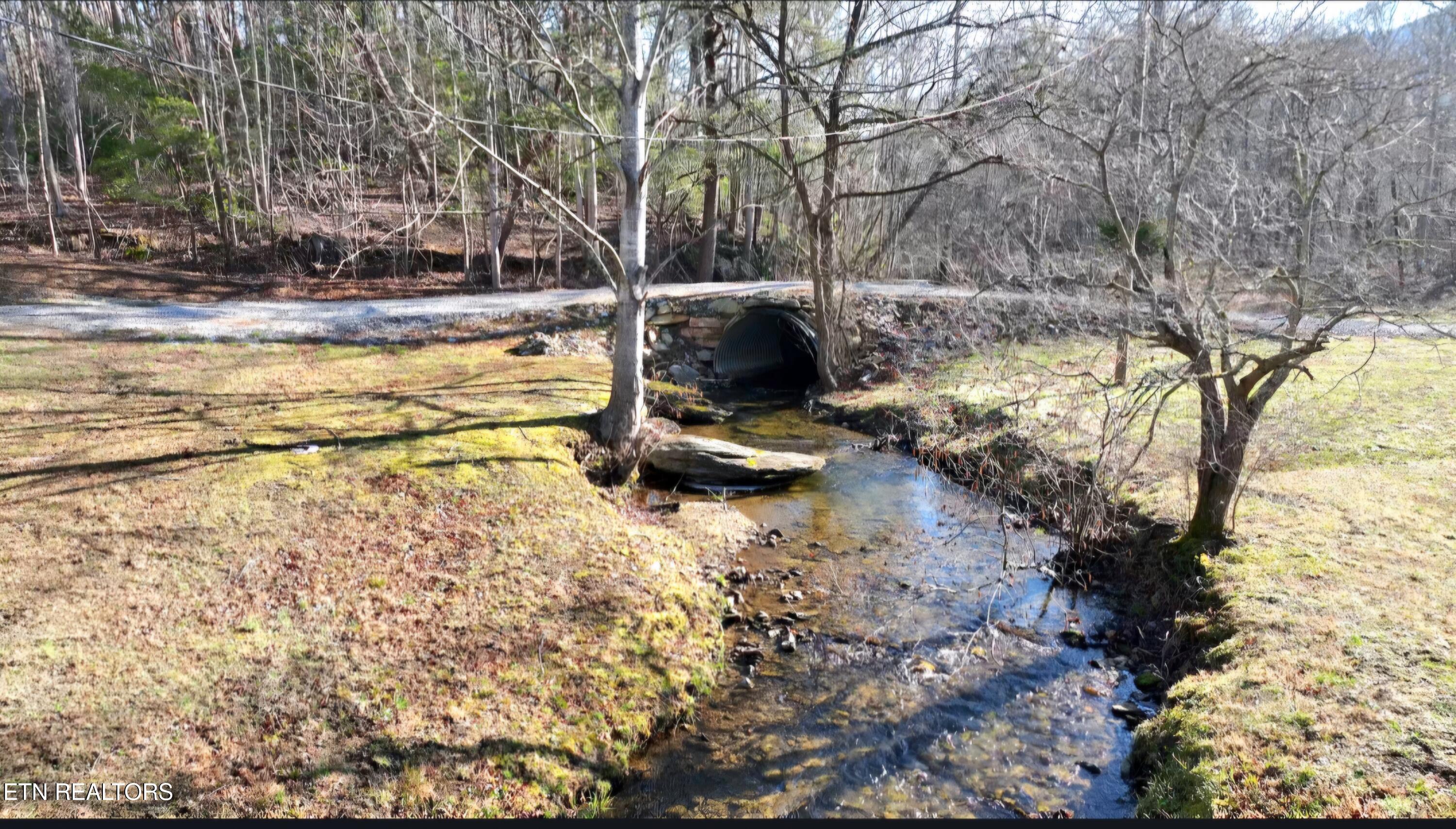 248 Lower Smithfield Road Tellico Plains, TN 37385 - Photo 3 of 47 1000040142