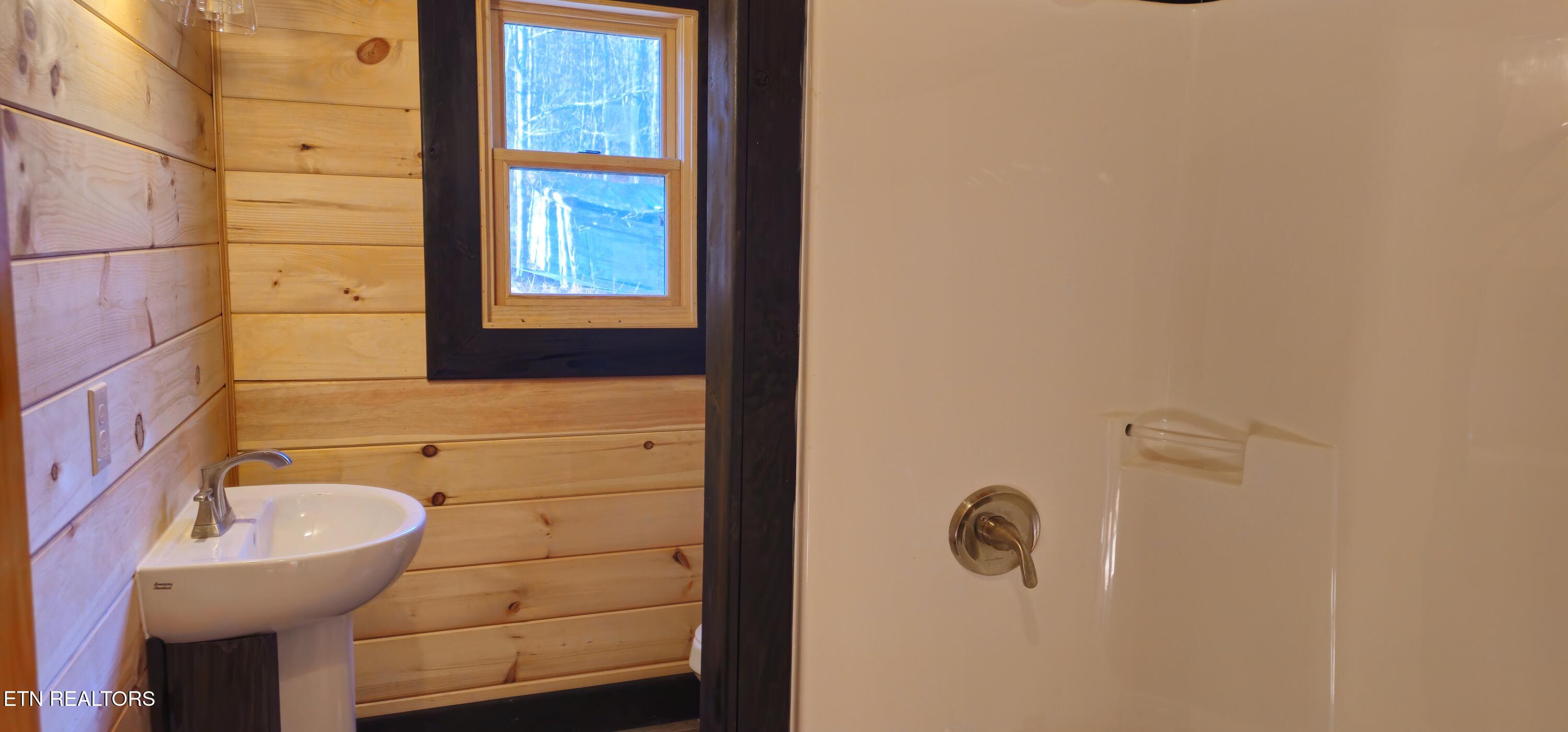 248 Lower Smithfield Road Tellico Plains, TN 37385 - Photo 32 of 47 1000039973