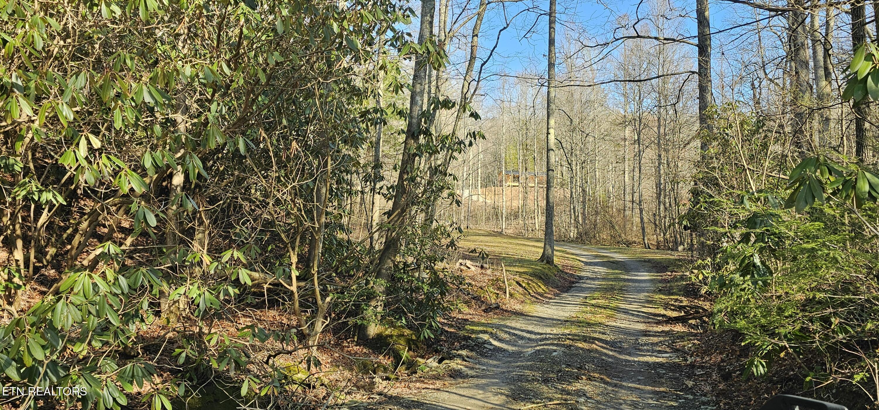 248 Lower Smithfield Road Tellico Plains, TN 37385 - Photo 33 of 47 1000040002