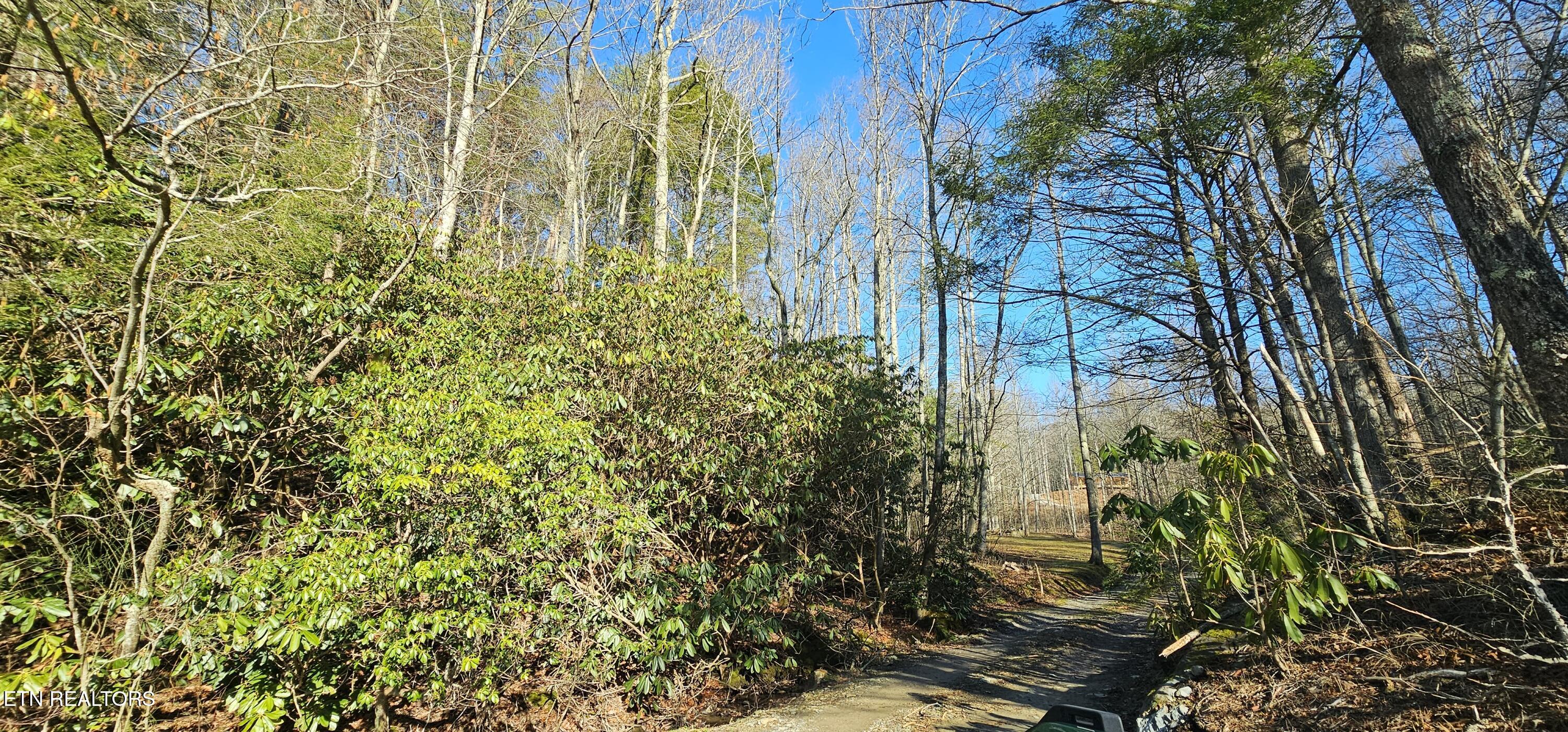 248 Lower Smithfield Road Tellico Plains, TN 37385 - Photo 34 of 47 1000040001