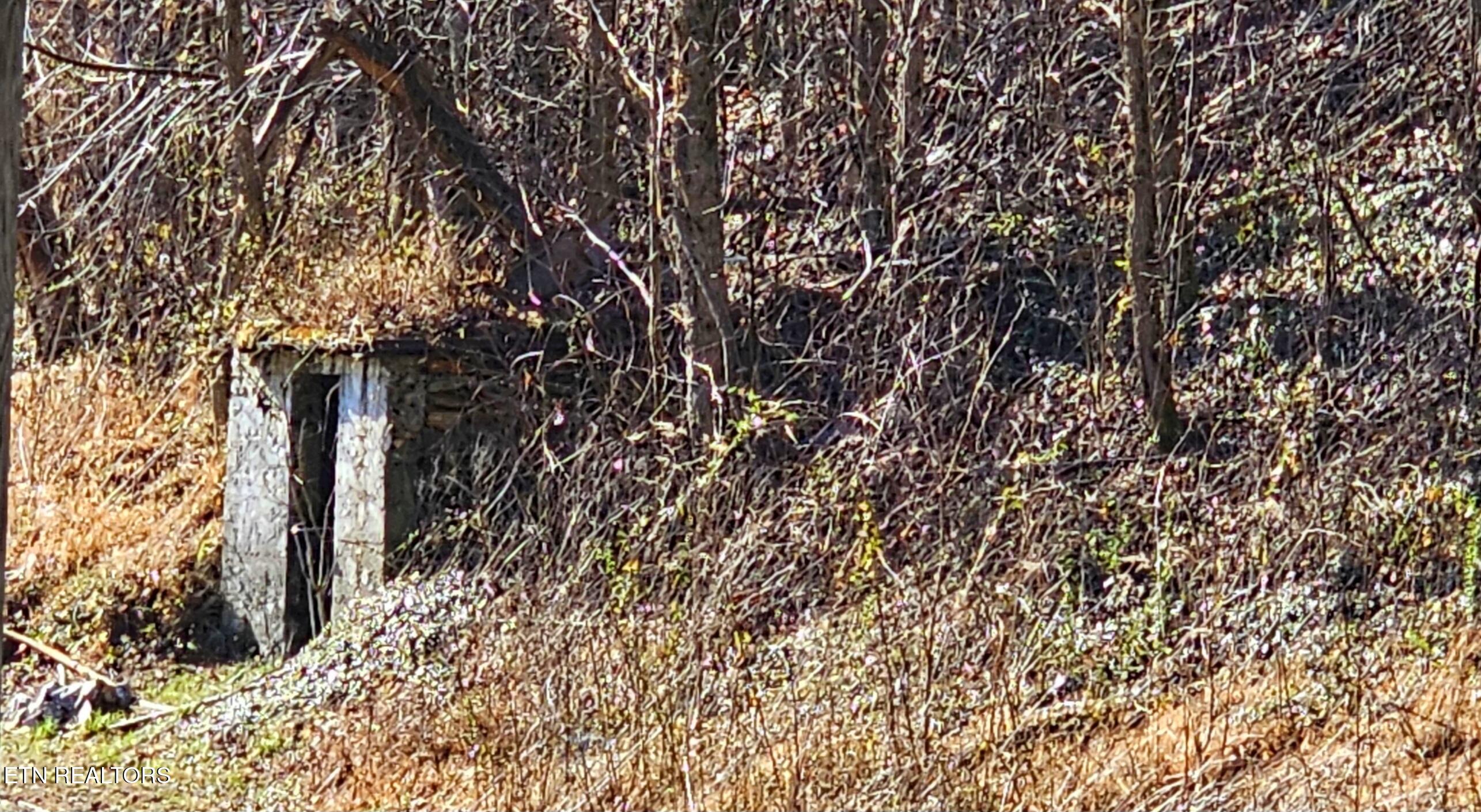 248 Lower Smithfield Road Tellico Plains, TN 37385 - Photo 35 of 47 1000039996