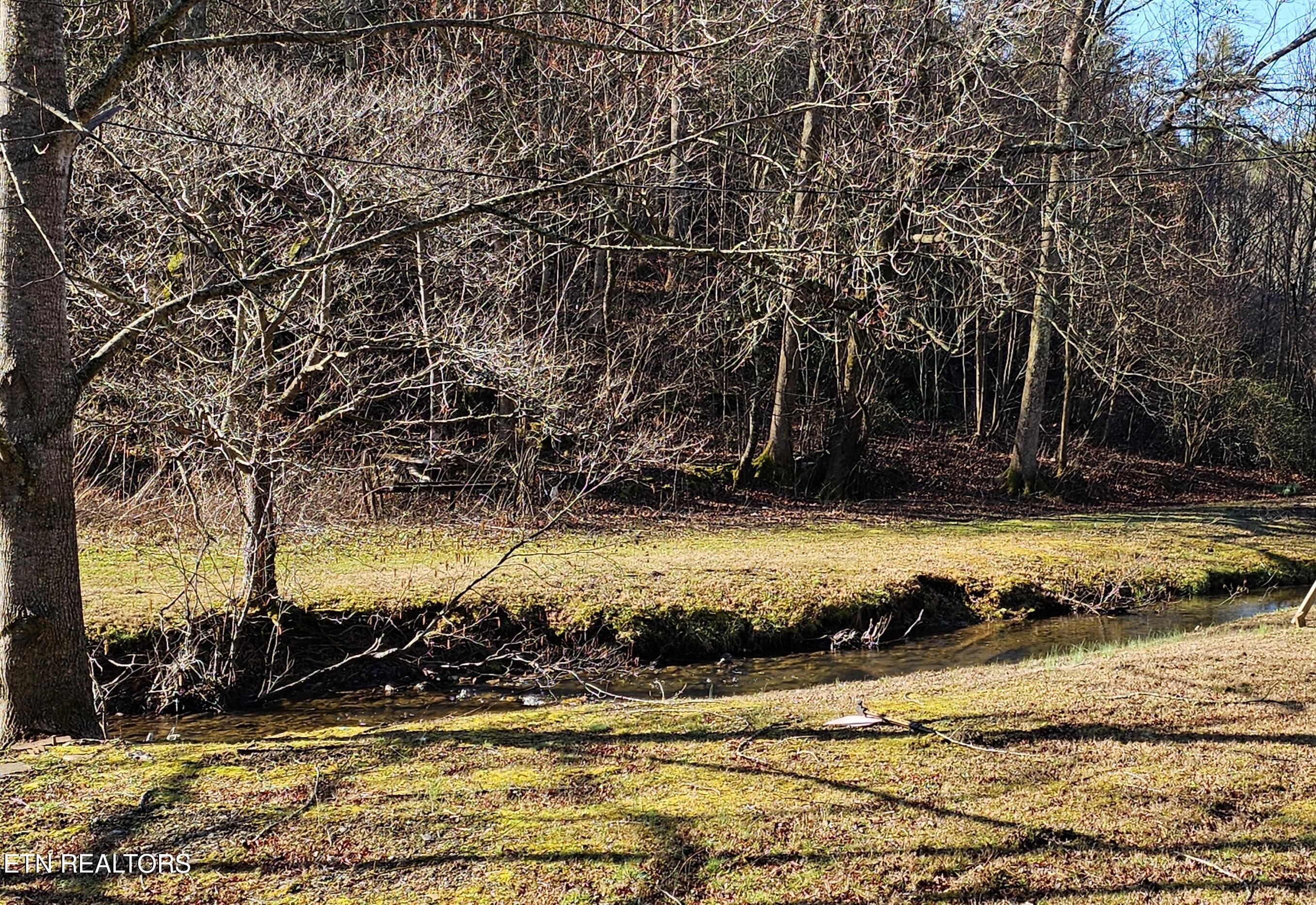 248 Lower Smithfield Road Tellico Plains, TN 37385 - Photo 36 of 47 1000039995