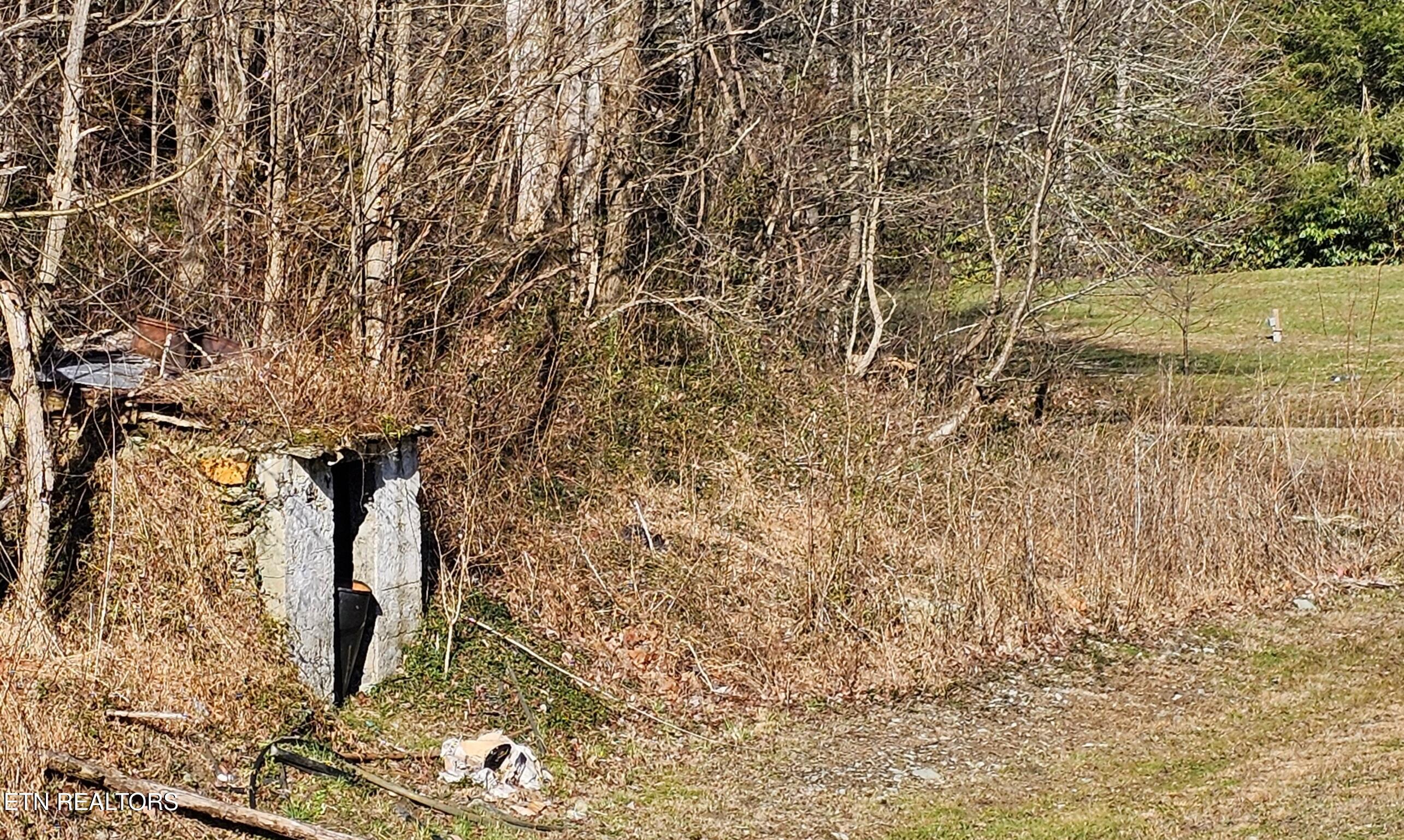 248 Lower Smithfield Road Tellico Plains, TN 37385 - Photo 37 of 47 1000039982