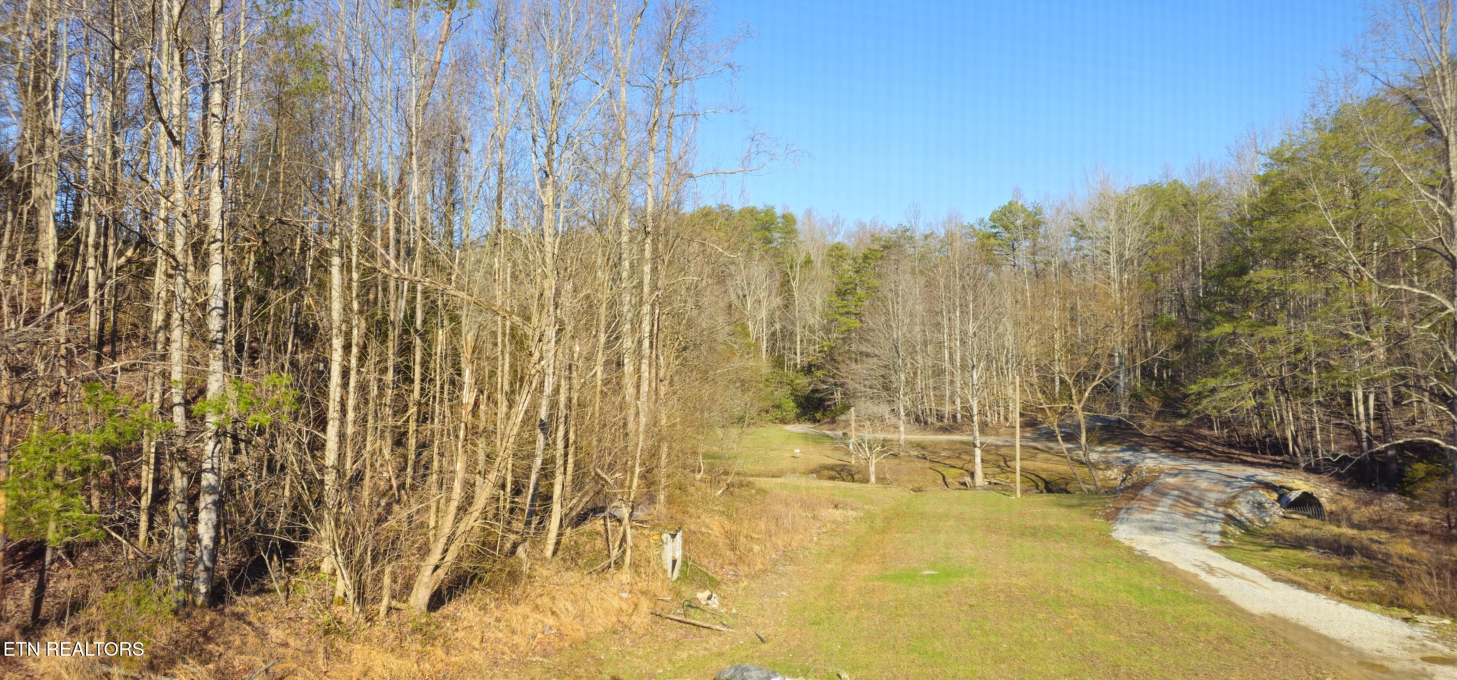 248 Lower Smithfield Road Tellico Plains, TN 37385 - Photo 40 of 47 1000039971