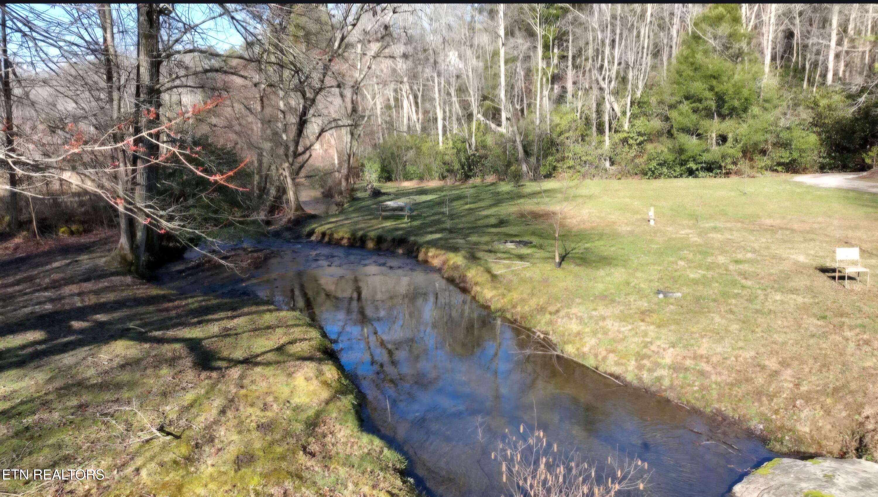 248 Lower Smithfield Road Tellico Plains, TN 37385 - Photo 4 of 47 1000040140