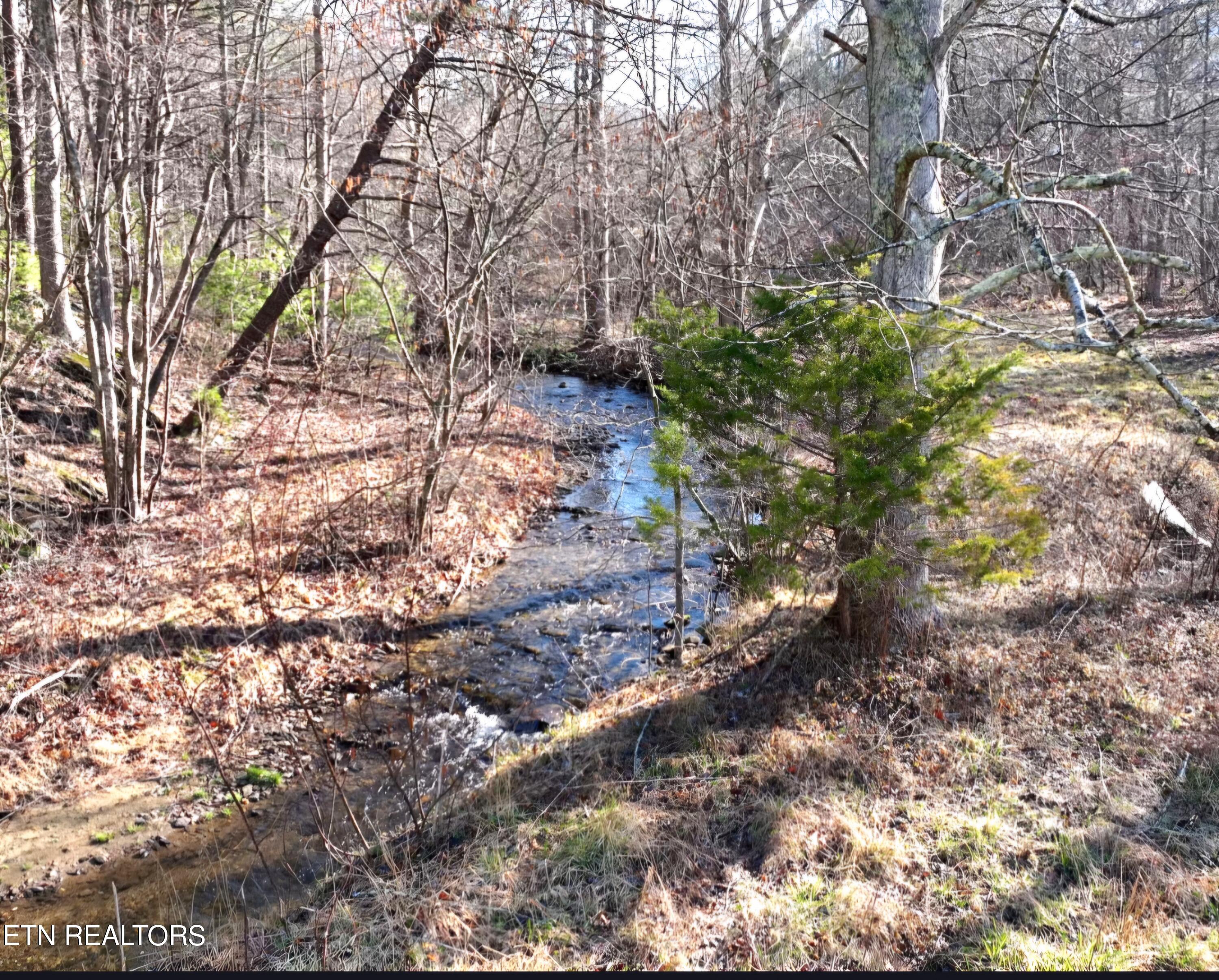 248 Lower Smithfield Road Tellico Plains, TN 37385 - Photo 41 of 47 1000040132