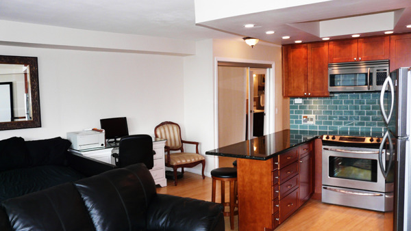 300 North State Street, Unit 2702 Chicago, IL 60654 - Photo 4 of 10