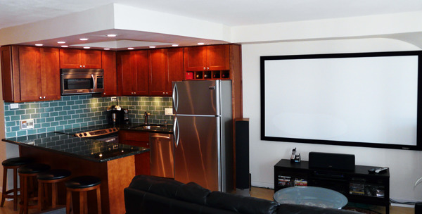300 North State Street, Unit 2702 Chicago, IL 60654 - Photo 5 of 10