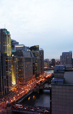 300 North State Street, Unit 2702 Chicago, IL 60654 - Photo 9 of 10