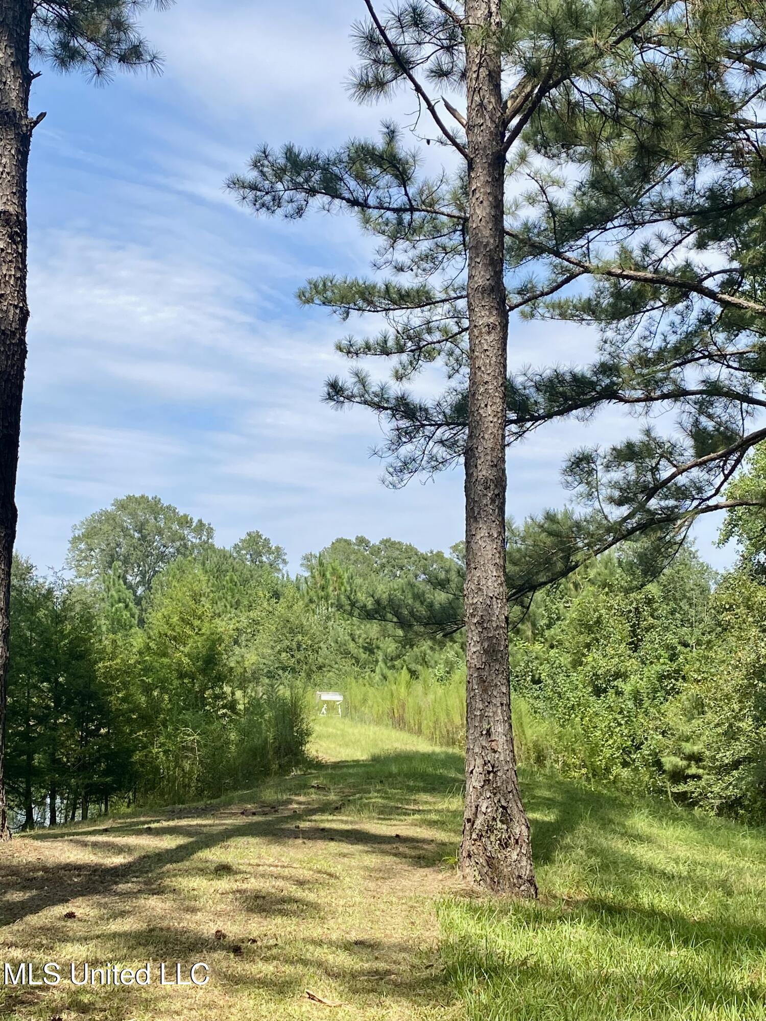 260 Remington Road Poplarville, MS 39470 - Photo 23 of 36 9B, IMG_5165