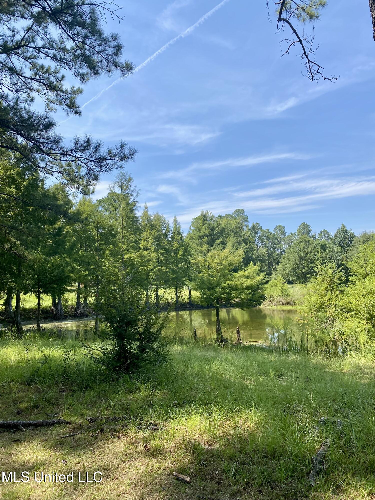 260 Remington Road Poplarville, MS 39470 - Photo 25 of 36 10B, IMG_5149