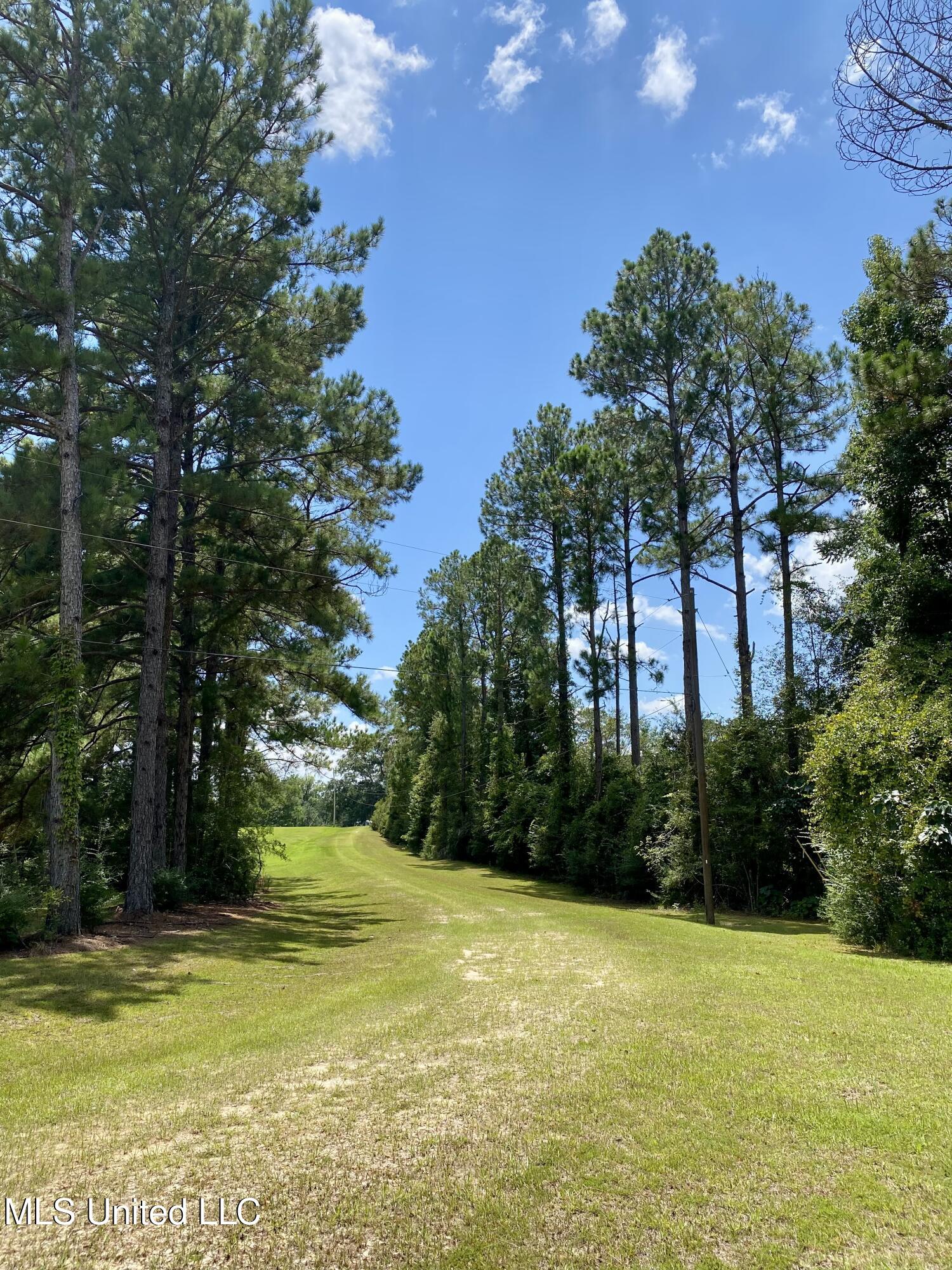 260 Remington Road Poplarville, MS 39470 - Photo 35 of 36 15, Driveway, IMG_4912
