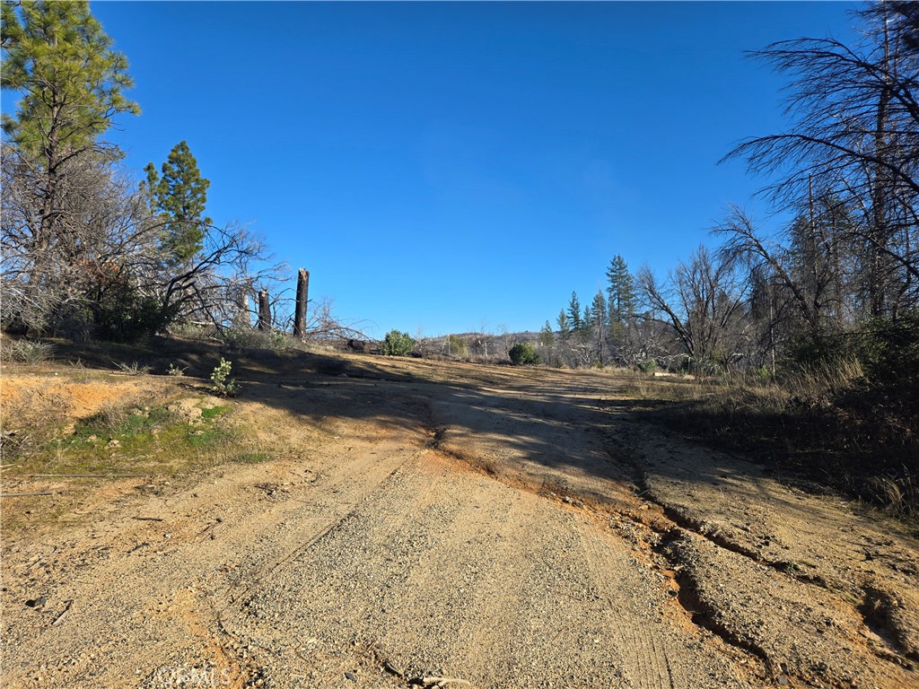 28 Bay Ranch Road Berry Creek, CA 95916 - Photo 3 of 13
