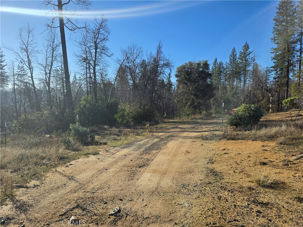28 Bay Ranch Road Berry Creek, CA 95916 - Photo 5 of 13