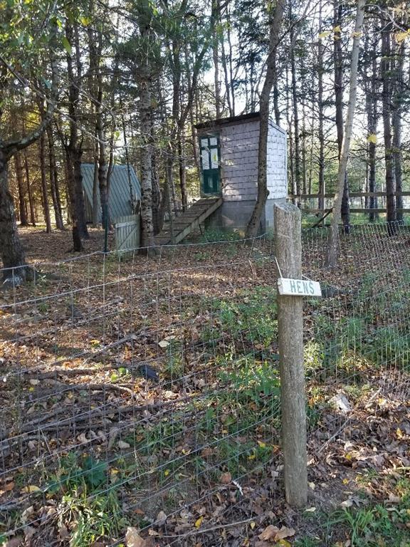 653 Back Ridge Road Penobscot, ME 04476 - Photo 3 of 17 Photo