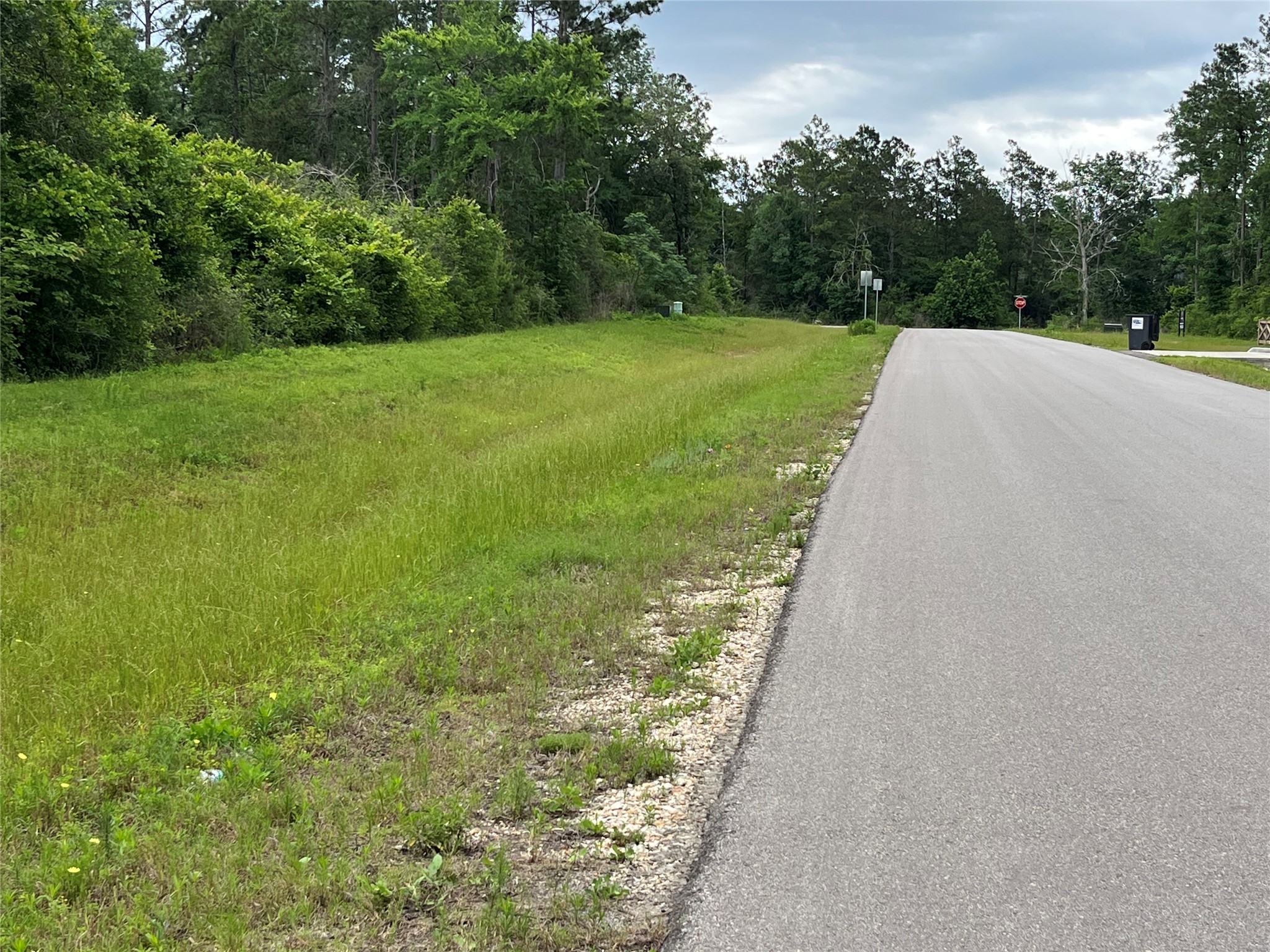 15841 Ridge Rock Road Willis, TX 77378 - Photo 9 of 9