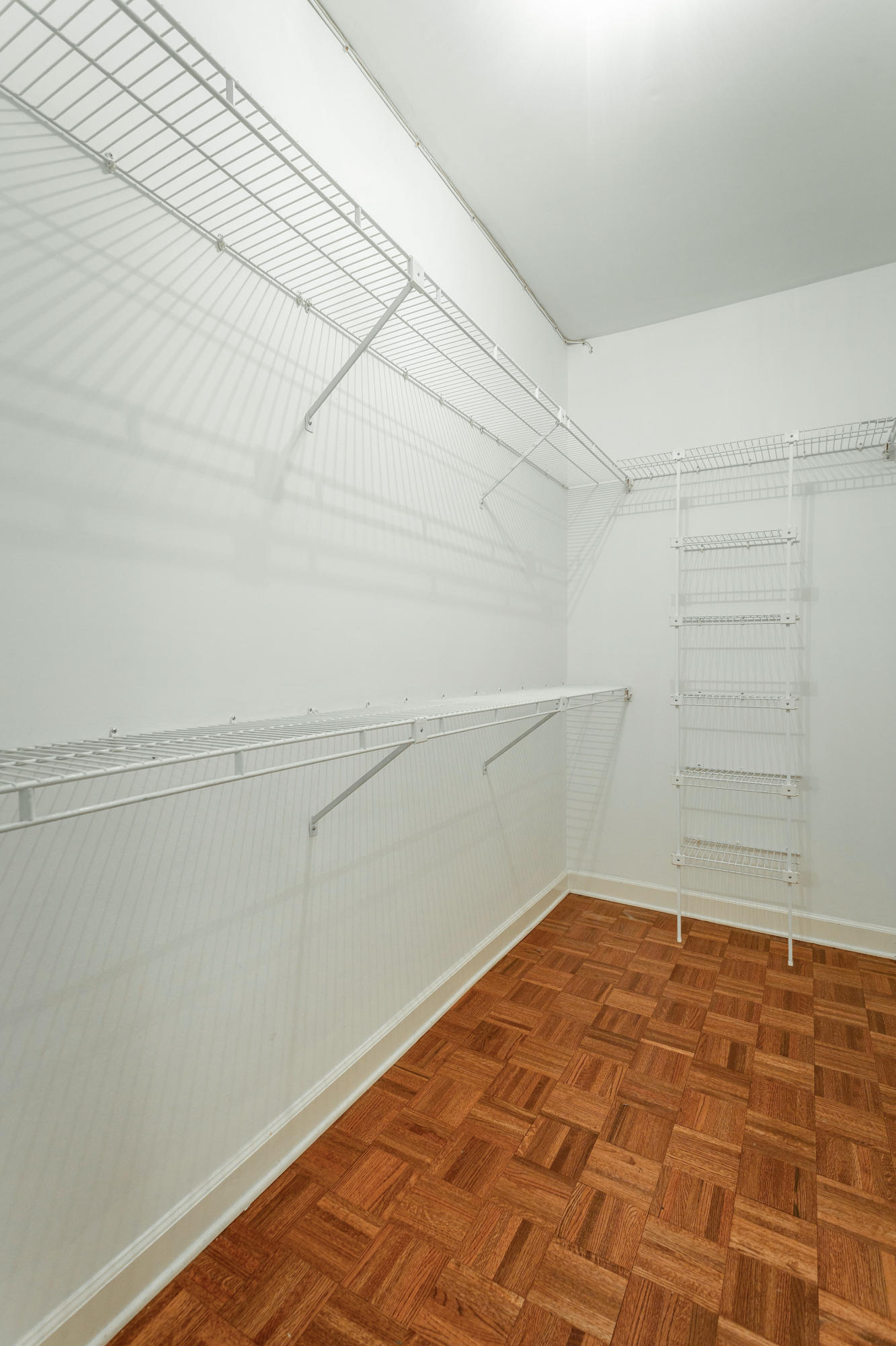 565 Winterview Lane Chattanooga, TN 37409 - Photo 24 of 41 Walk-In Closet
