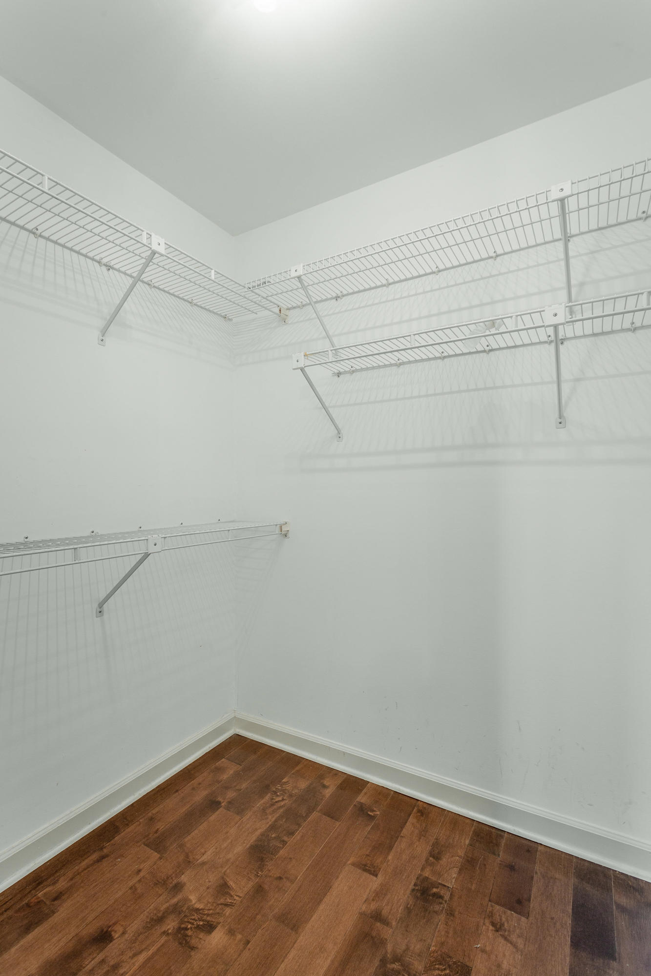 565 Winterview Lane Chattanooga, TN 37409 - Photo 31 of 41 Walk- In Closet