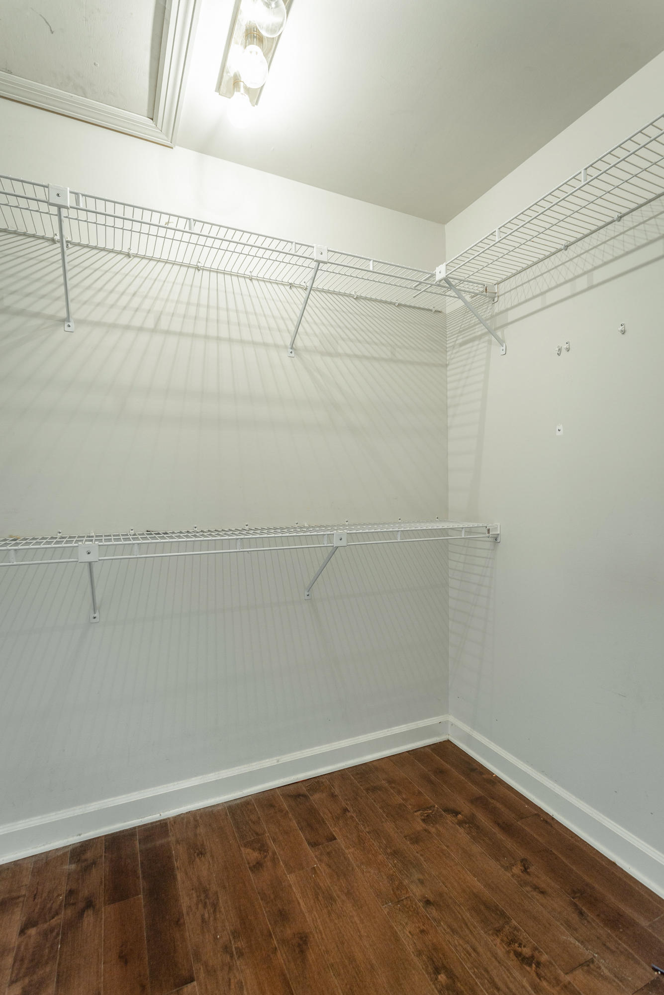 565 Winterview Lane Chattanooga, TN 37409 - Photo 36 of 41 Walk In Closet