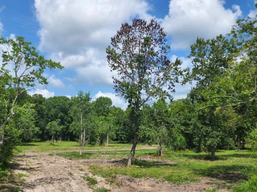 15546 Sour Lake Road Beaumont, TX 77713 - Photo 23 of 35