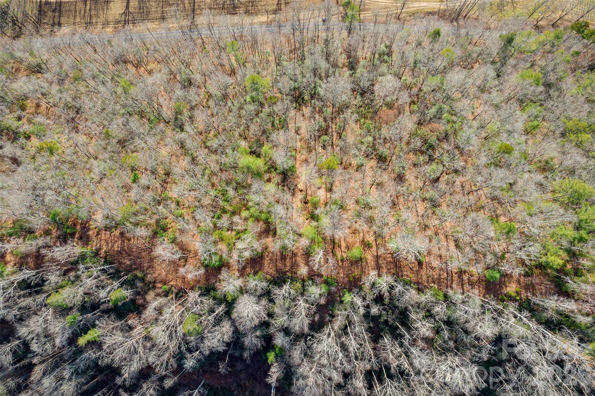 Tbd Tbd Collettsville Road, Unit 3 Lenoir, NC 28645 - Photo 12 of 22