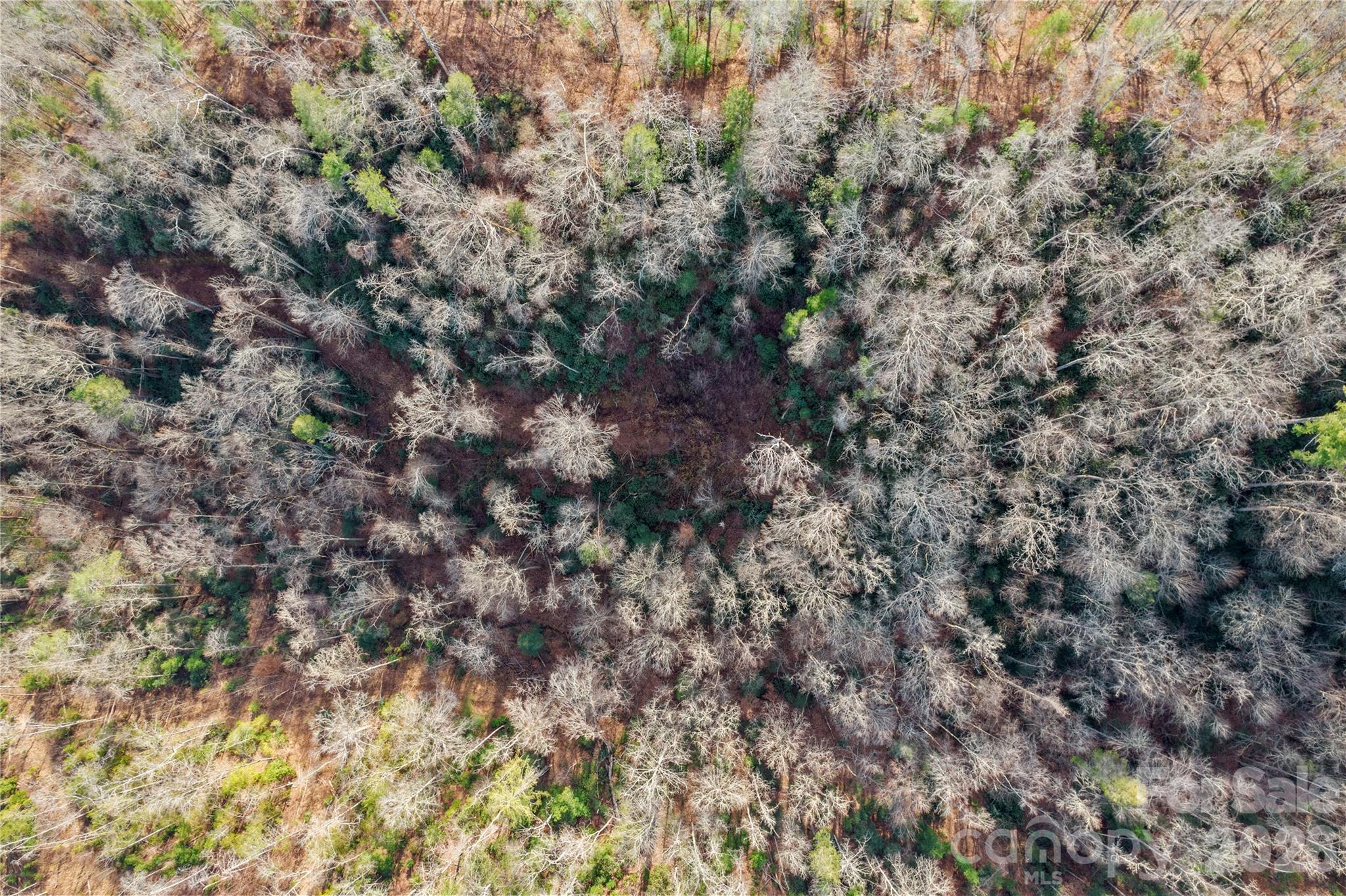 Tbd Tbd Collettsville Road, Unit 3 Lenoir, NC 28645 - Photo 16 of 22