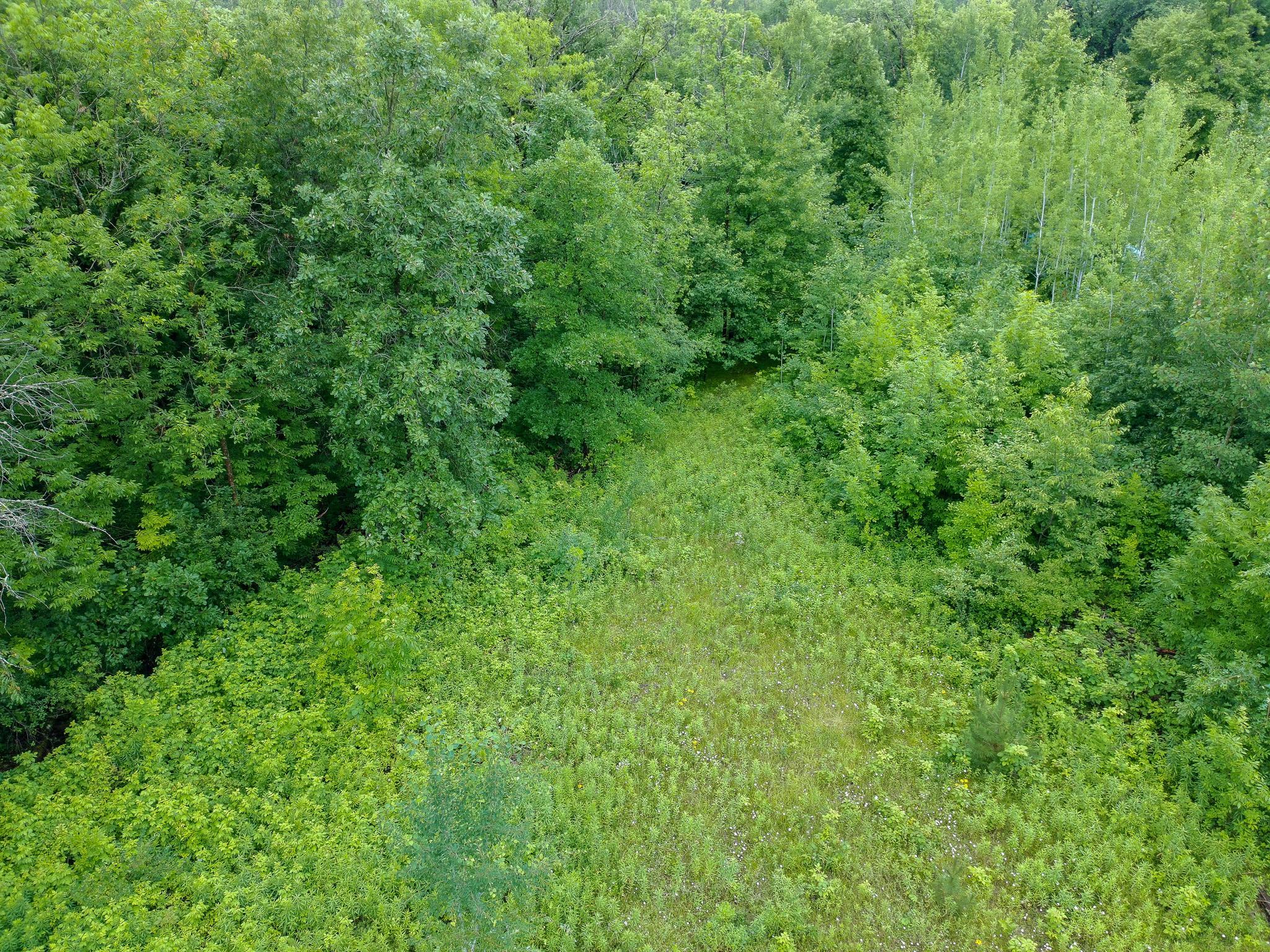 Tbd-1 North Riverside Road Moose Lake, MN 55767 - Photo 13 of 24