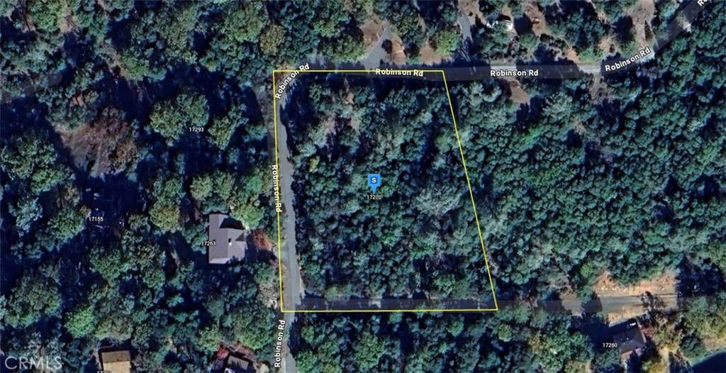 a view of a pathway with a tree