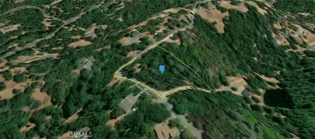 a view of a plant in a garden