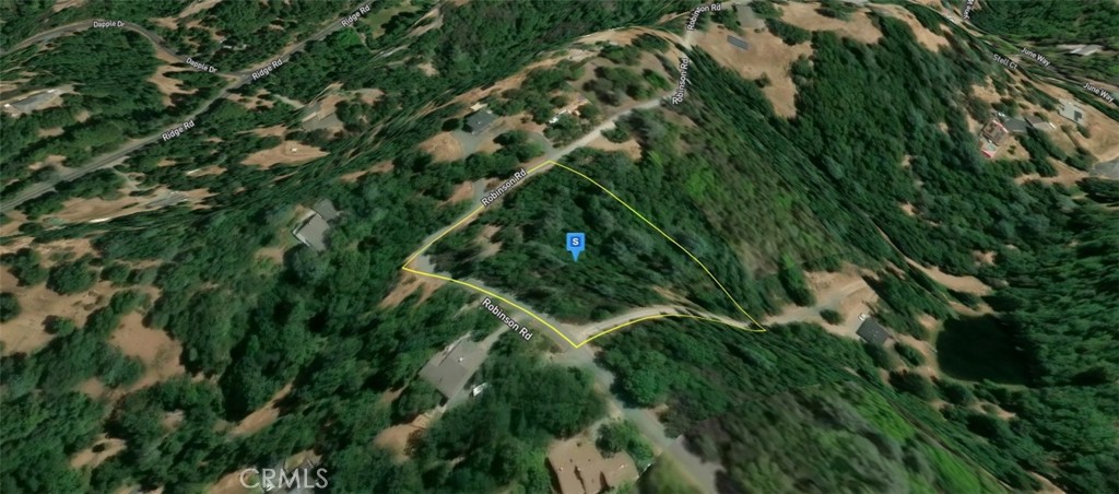 17270 Robinson Road Sutter Creek, CA 95685 - Photo 2 of 6 a view of a plant in a garden