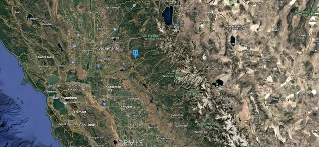 a close up of a plant