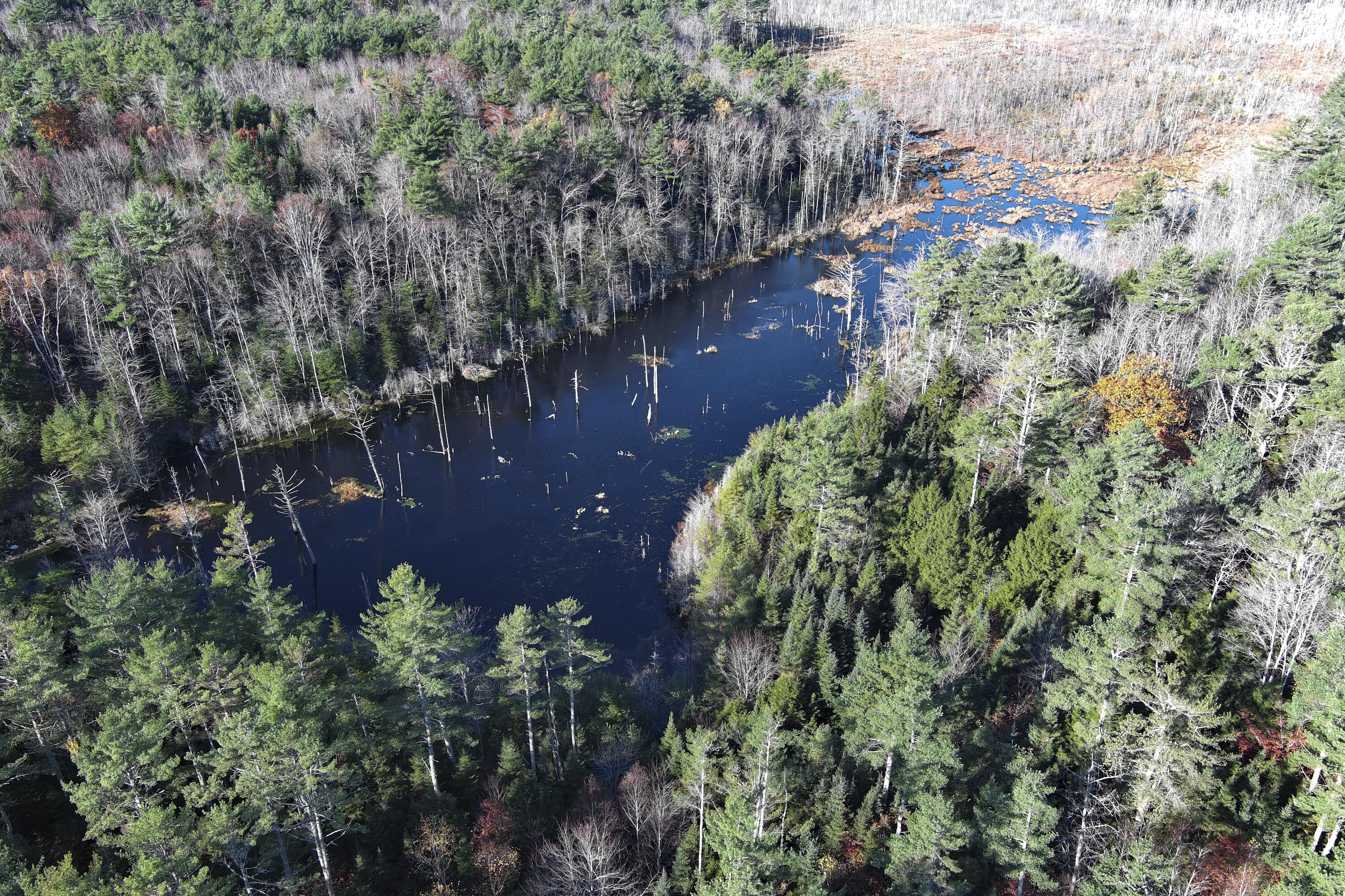 163 Waldoboro Road Washington, ME 04574 - Photo 51 of 58 03- 163 Waldoboro Road - Washington - JA