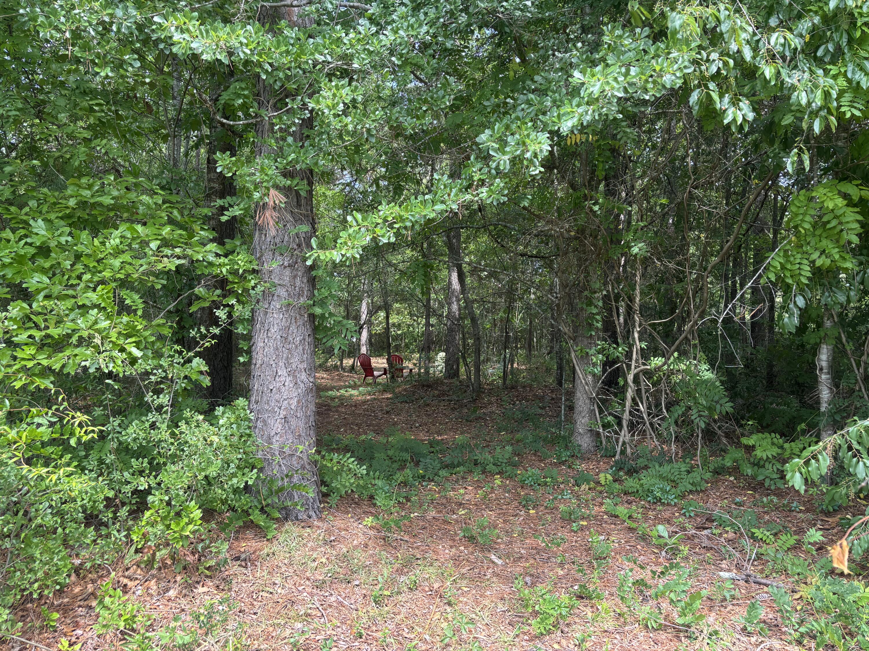 630 Adger Lane Sumter, SC 29154 - Photo 78 of 85 IMG_8131