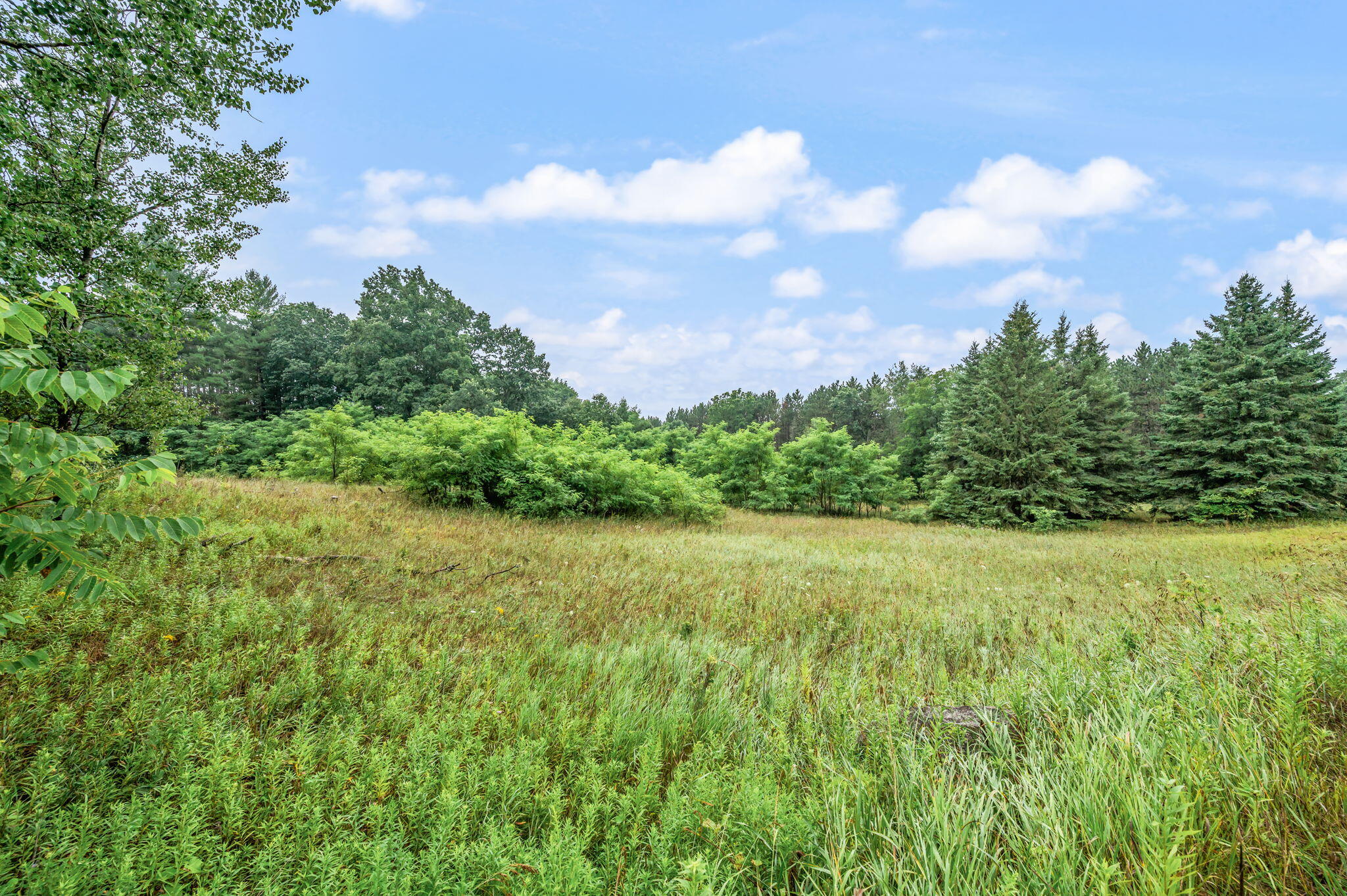 10055 8 Mile Road Evart, MI 49631 - Photo 24 of 28 260807135640-29-web-or-mls-10055-8Mil