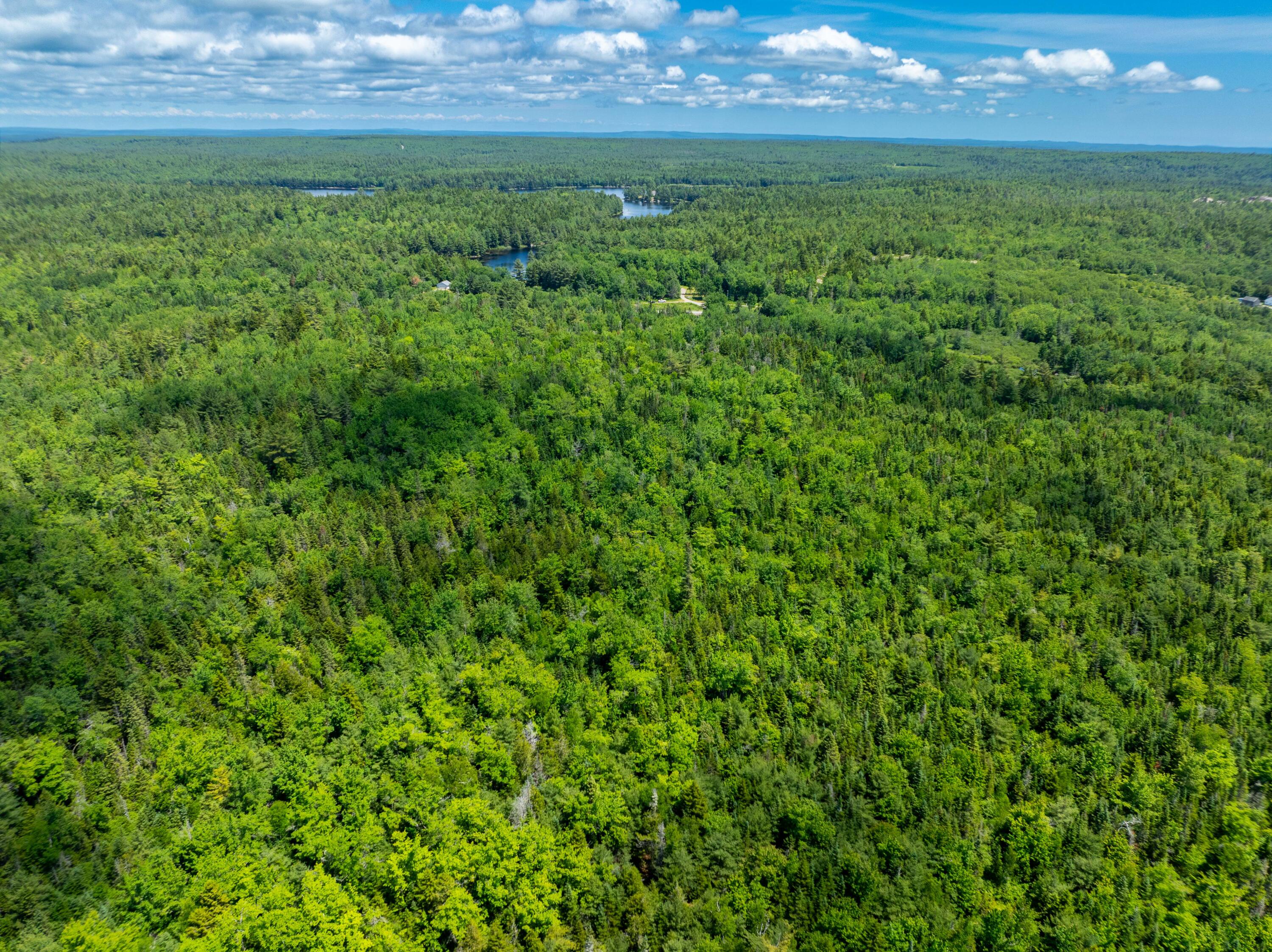 M4-l29 Northfield Road Machias, ME 04654 - Photo 17 of 23 42 Acre Lot Marshfield (7 of 32)