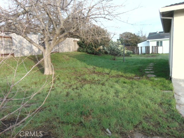 1212 South Jackson Street Red Bluff, CA 96080 - Photo 14 of 18 a view of a yard with plants and large trees