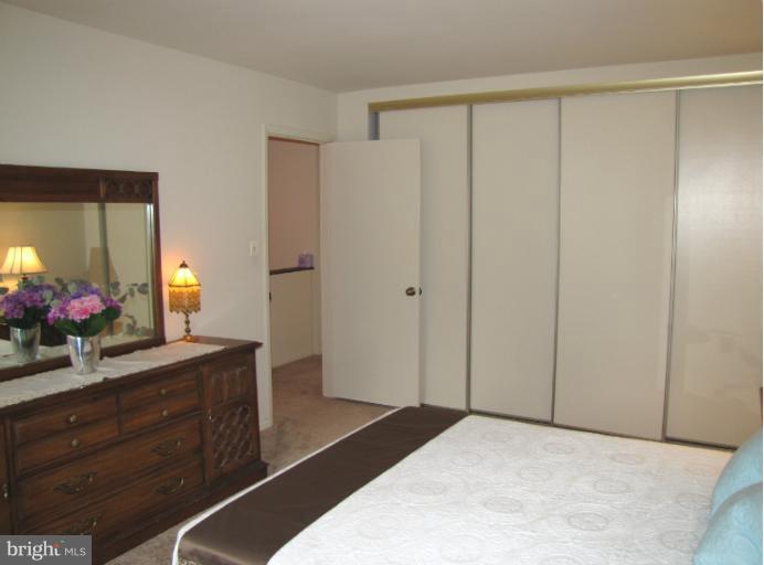 5687 Vantage Point Road Columbia, MD 21044 - Photo 17 of 29 Bedroom (Master)