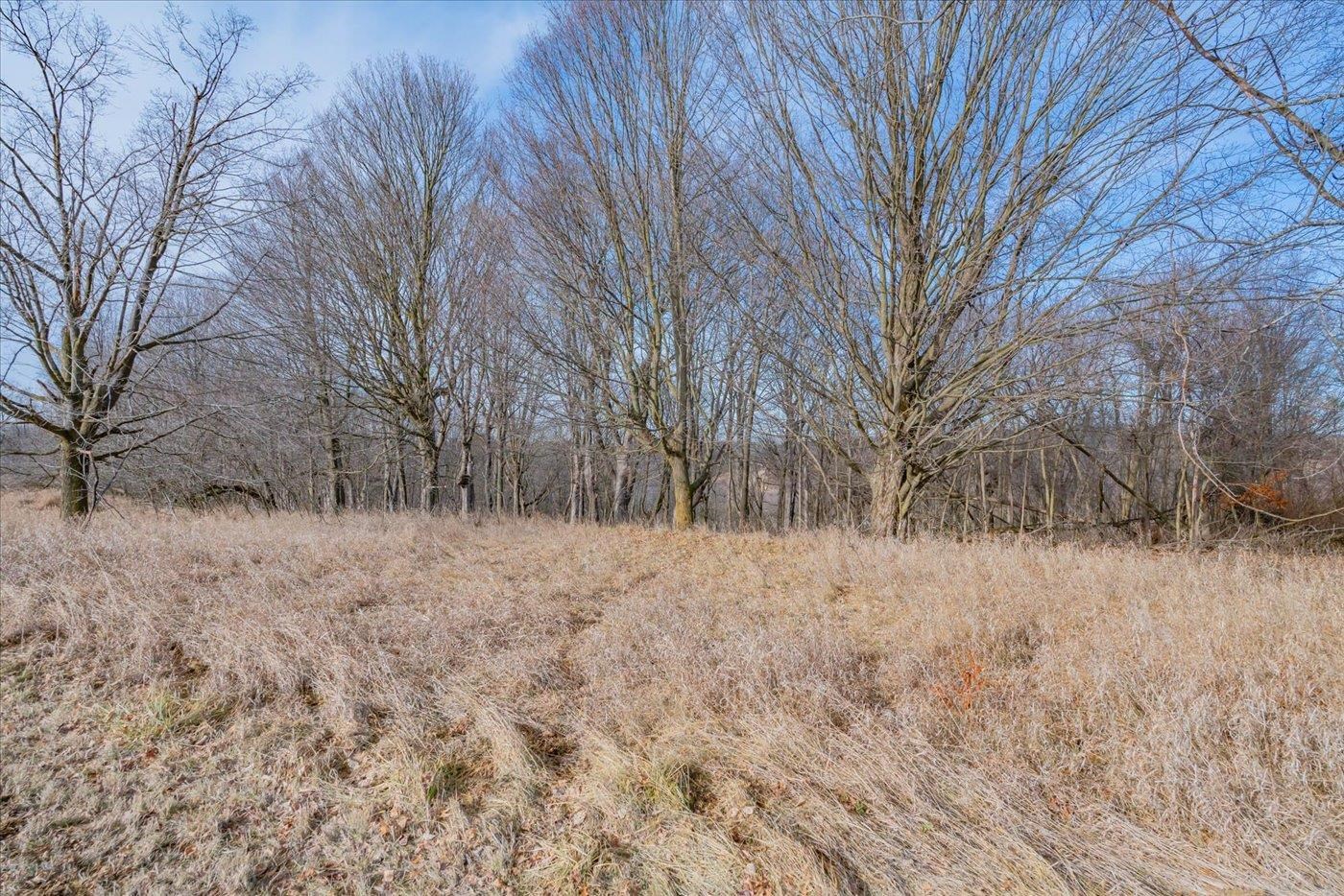 L459 Summit Point Drive La Valle, WI 53941 - Photo 31 of 39