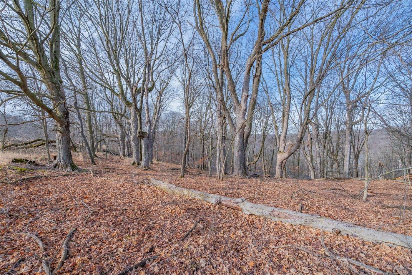 L459 Summit Point Drive La Valle, WI 53941 - Photo 34 of 39