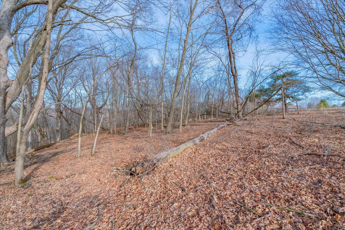 L459 Summit Point Drive La Valle, WI 53941 - Photo 35 of 39