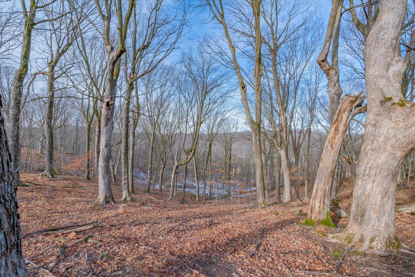 L459 Summit Point Drive La Valle, WI 53941 - Photo 36 of 39