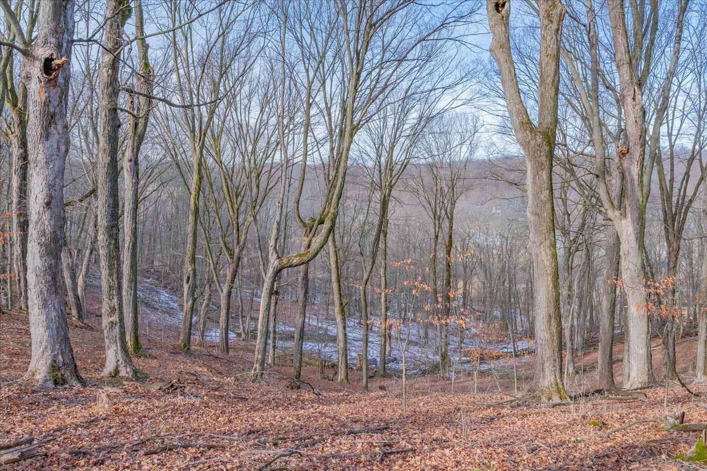 L459 Summit Point Drive La Valle, WI 53941 - Photo 37 of 39