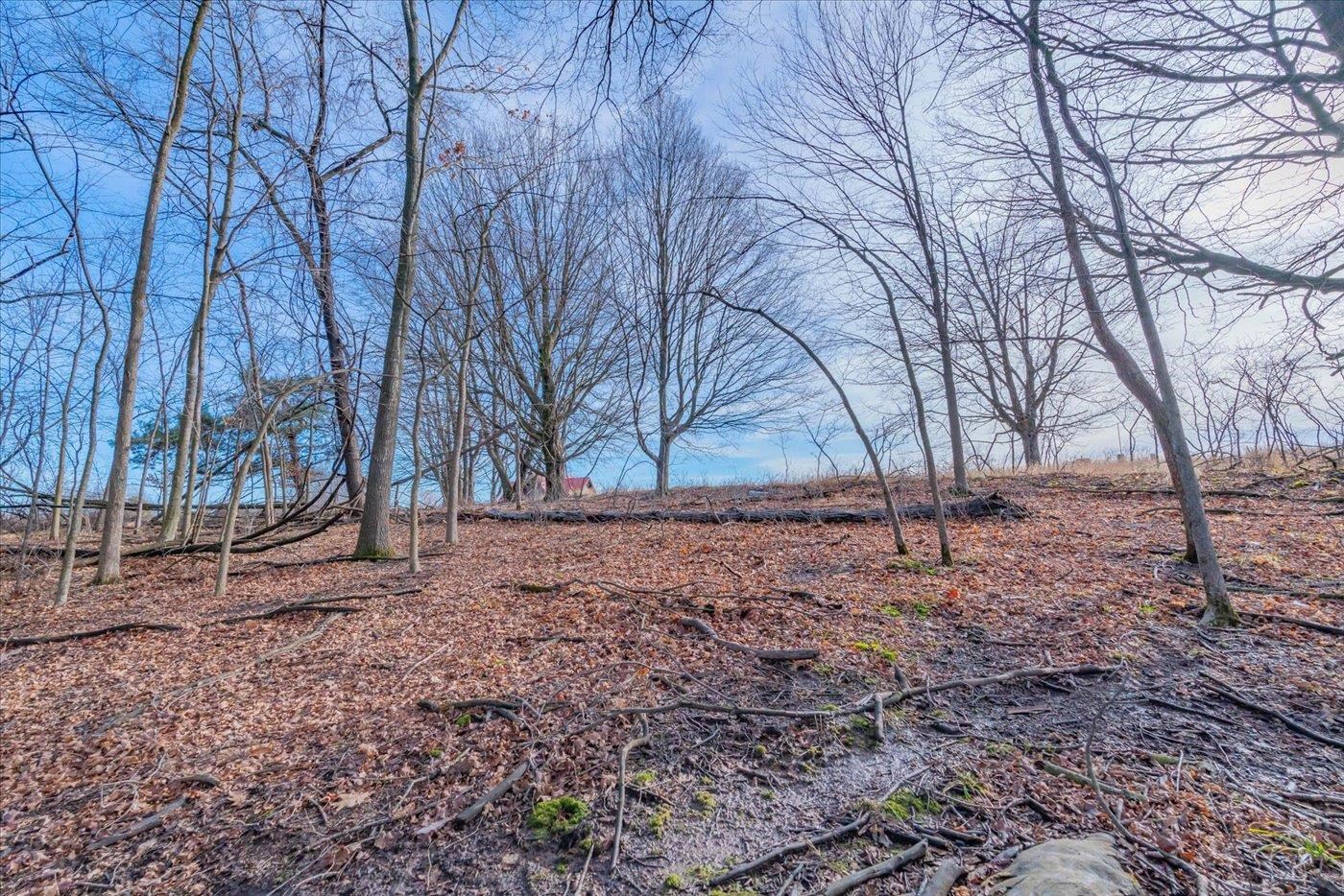 L459 Summit Point Drive La Valle, WI 53941 - Photo 38 of 39