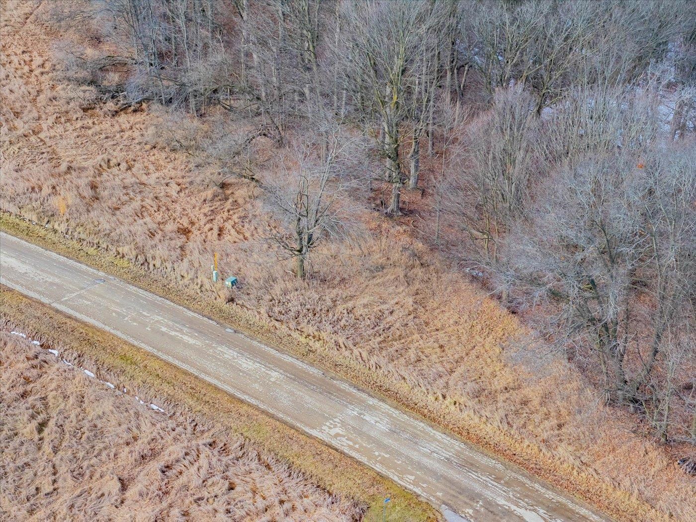 L459 Summit Point Drive La Valle, WI 53941 - Photo 4 of 39